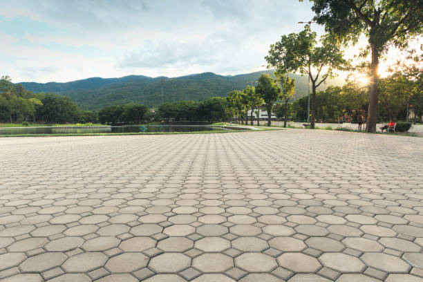 Best Residential Paver Driveway  in Lake Hallie, WI